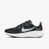 Giày Nike Pegasus 41 Special Nam - Đen Xanh Giày Nike Pegasus 41 Special Nam - Đen Xanh
