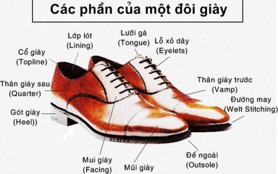 Các loại mũi giày phổ biến có thể bạn chưa biết Các loại mũi giày phổ biến có thể bạn chưa biết
