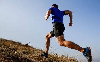 Bạn là một người yêu thể thao Bạn là một người yêu thể thao