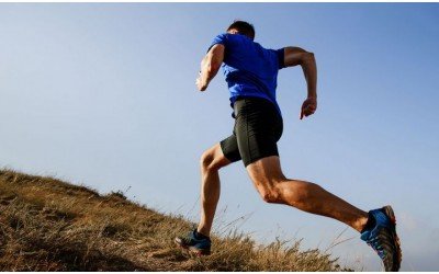 Bạn là một người yêu thể thao