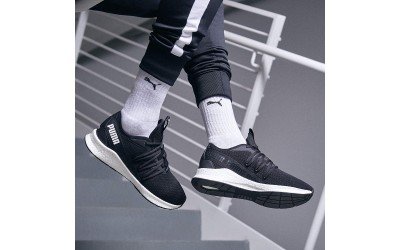 5 mẫu giày thể thao Puma được yêu thích nhất