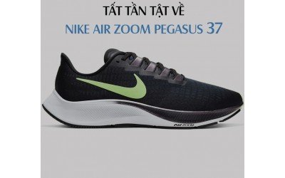 Đánh giá chi tiết giày chạy bộ Nike Air Zoom Pegasus 37